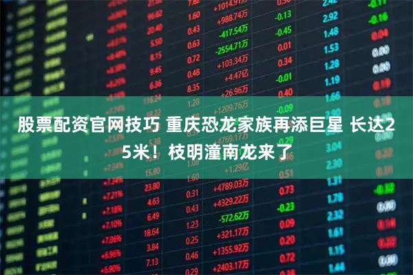 股票配资官网技巧 重庆恐龙家族再添巨星 长达25米！枝明潼南龙来了