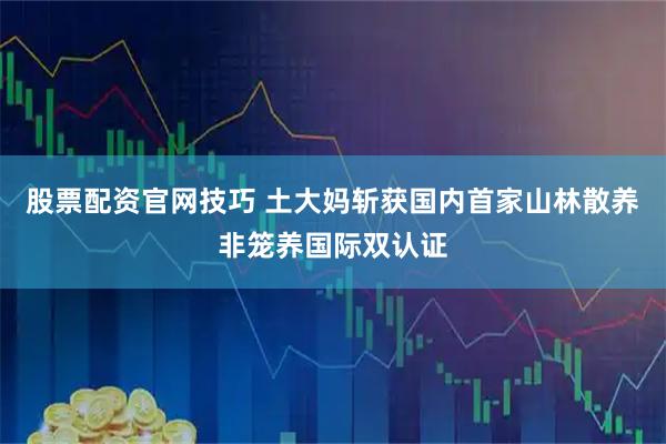 股票配资官网技巧 土大妈斩获国内首家山林散养非笼养国际双认证