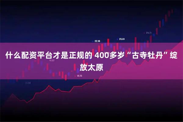 什么配资平台才是正规的 400多岁“古寺牡丹”绽放太原